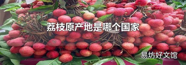 荔枝原产地是哪个国家