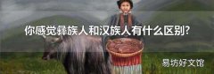 你感觉彝族人和汉族人有什么区别?