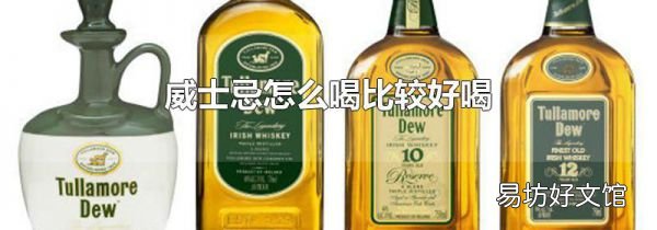 威士忌怎么喝比较好喝