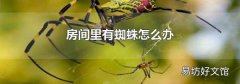 房间里有蜘蛛怎么办