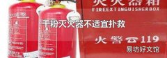 干粉灭火器不适宜扑救