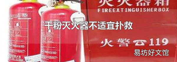 干粉灭火器不适宜扑救