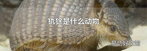 犰狳是什么动物