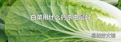 白菜用什么药杀虫最好