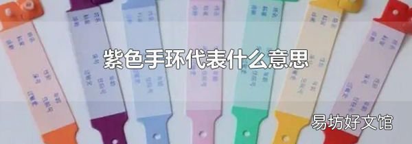 紫色手环代表什么意思