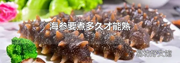 海参要煮多久才能熟