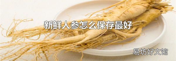新鲜人参怎么保存最好