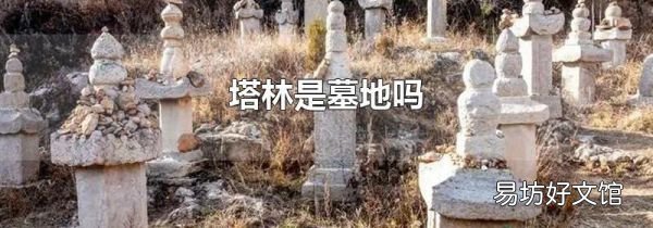 塔林是墓地吗