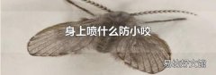 身上喷什么防小咬