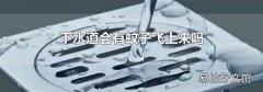 下水道会有蚊子飞上来吗