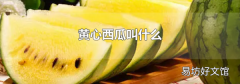 黄心西瓜叫什么
