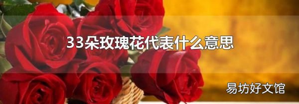 33朵玫瑰花代表什么意思