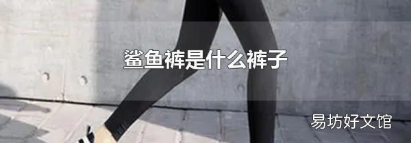 鲨鱼裤是什么裤子