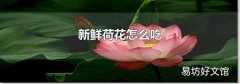 新鲜荷花怎么吃