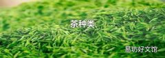 茶种类