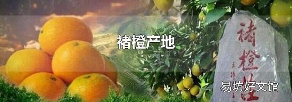 褚橙产地