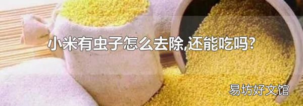 小米有虫子怎么去除,还能吃吗?