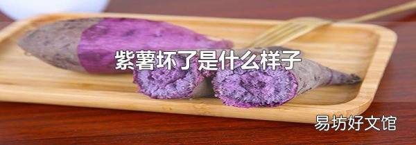 紫薯坏了是什么样子