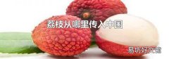 荔枝从哪里传入中国