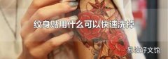 纹身贴用什么可以快速洗掉
