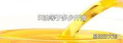 5l油等于多少斤油