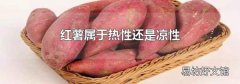 红薯属于热性还是凉性
