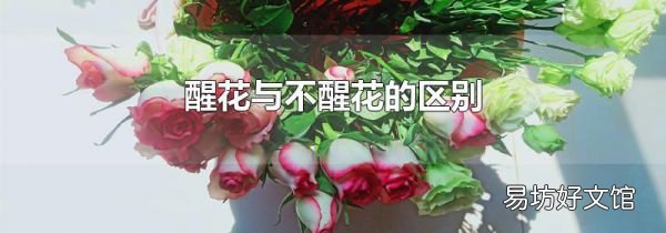 醒花与不醒花的区别