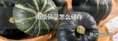 南瓜贝贝怎么储存
