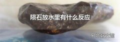 陨石放水里有什么反应