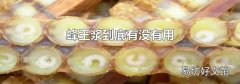 蜂王浆到底有没有用
