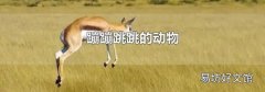 蹦蹦跳跳的动物