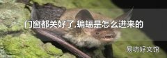 门窗都关好了,蝙蝠是怎么进来的