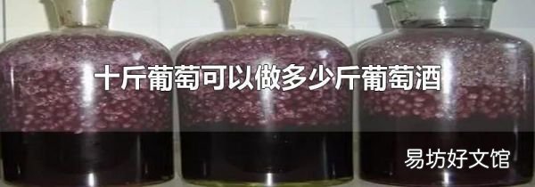 十斤葡萄可以做多少斤葡萄酒