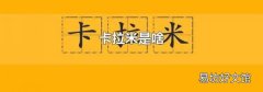 卡拉米是啥
