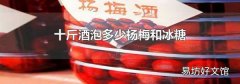 十斤酒泡多少杨梅和冰糖