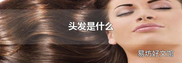 头发是什么