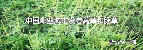 中国哪些城市没有蒿草和豚草