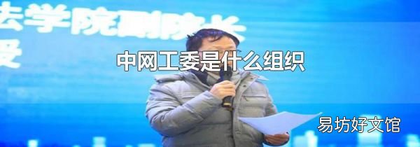 中网工委是什么组织