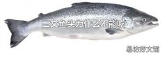 三文鱼头为什么不能吃