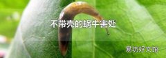 不带壳的蜗牛害处