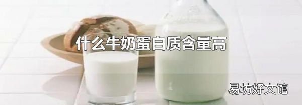 什么牛奶蛋白质含量高