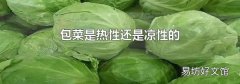 包菜是热性还是凉性的
