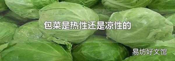 包菜是热性还是凉性的