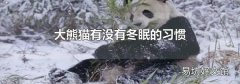 大熊猫有没有冬眠的习惯
