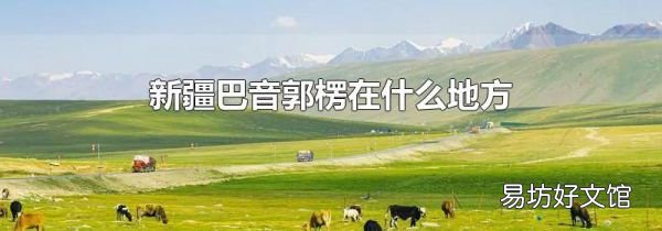 新疆巴音郭楞在什么地方