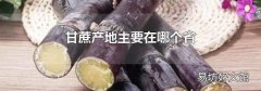 甘蔗产地主要在哪个省