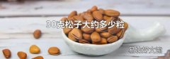 30克松子大约多少粒