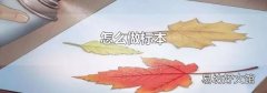 怎么做标本