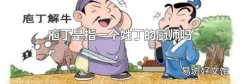 庖丁是指一个姓丁的厨师吗