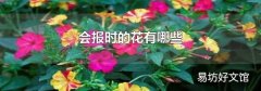 会报时的花有哪些
